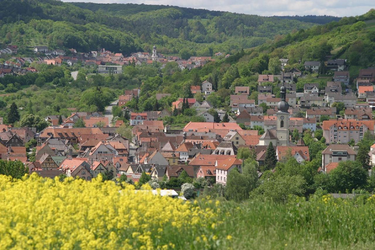 Ferienwohnung Haus Haas Lauda-Königshofen Exterior foto