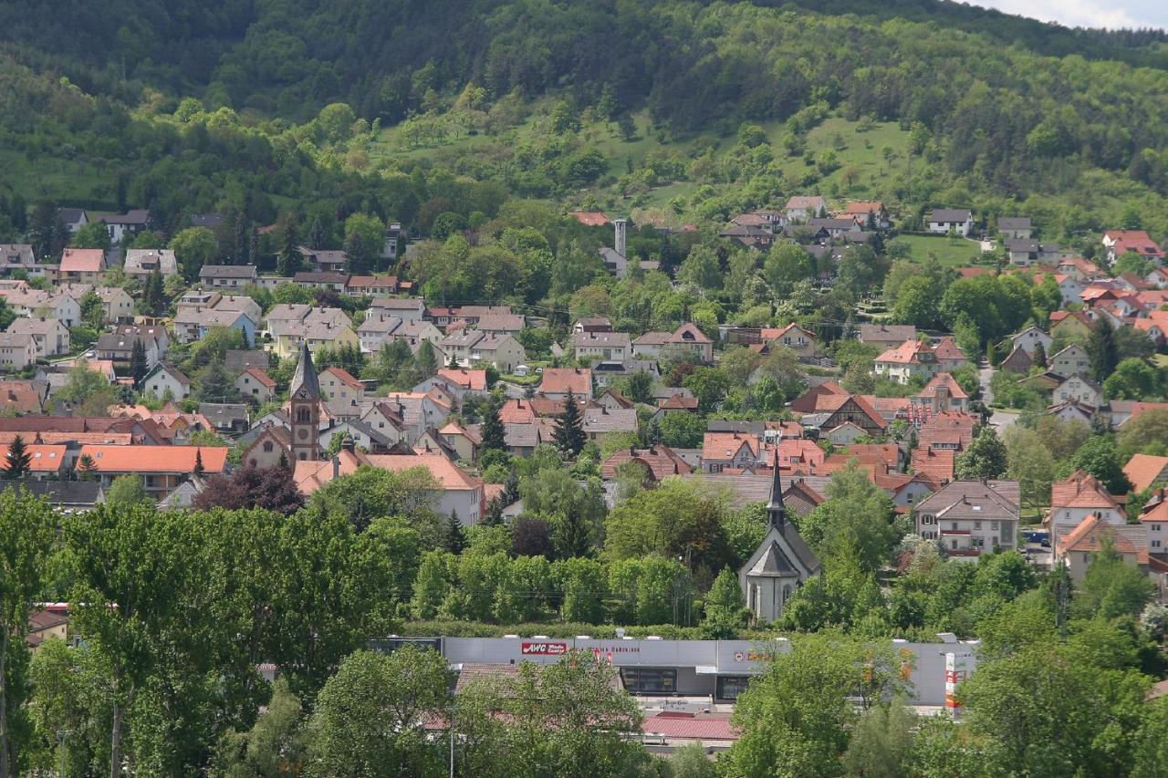 Ferienwohnung Haus Haas Lauda-Königshofen Exterior foto
